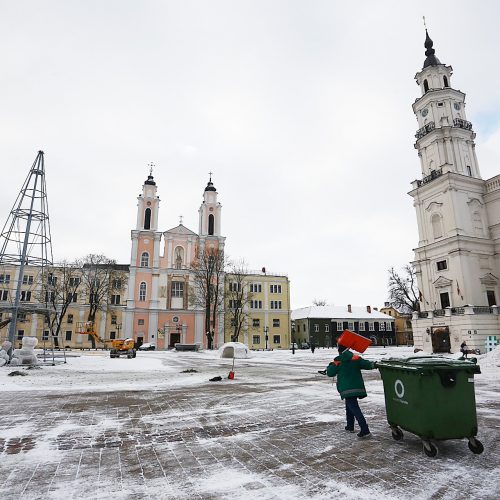 Nupuošiama Kauno eglė  © Aliaus Koroliovo nuotr.