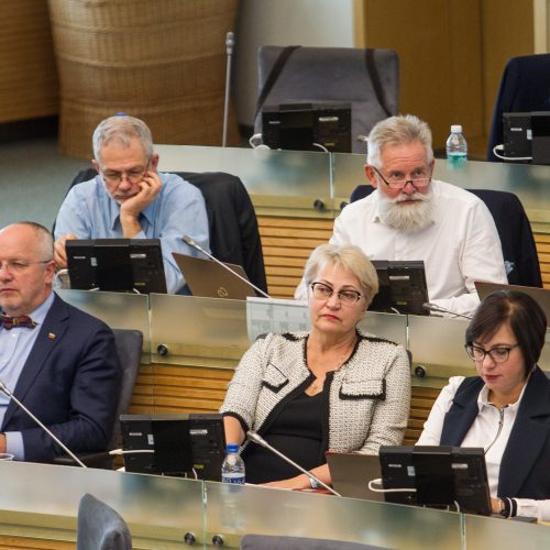 Premjeras atsakinėjo į opozicijos klausimus  © P. Peleckio / Fotobanko nuotr.