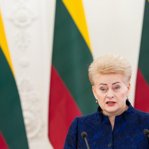 Į Lietuvą atvyko Gruzijos prezidentė  © Irmanto Gelūno / Fotobanko nuotr.