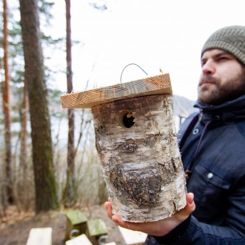 Grįžtantiems paukščiams – nauji inkilai  © I. Gelūno / Fotobanko nuotr.