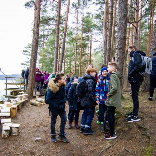 Grįžtantiems paukščiams – nauji inkilai  © I. Gelūno / Fotobanko nuotr.