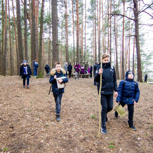 Grįžtantiems paukščiams – nauji inkilai  © I. Gelūno / Fotobanko nuotr.