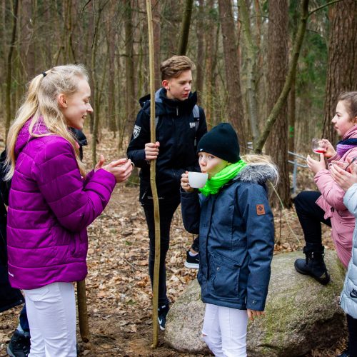 Grįžtantiems paukščiams – nauji inkilai  © I. Gelūno / Fotobanko nuotr.