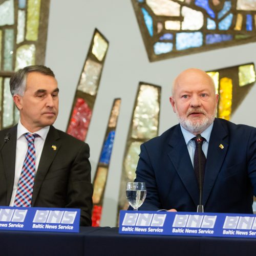 Spaudos konferencijos po rinkimų  © G. Skaraitienės / Fotobanko nuotr.