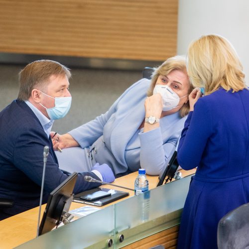 Susisiekimo ministras atsakinėjo į Seimo narių klausimus  © I. Gelūno / Fotobanko nuotr.