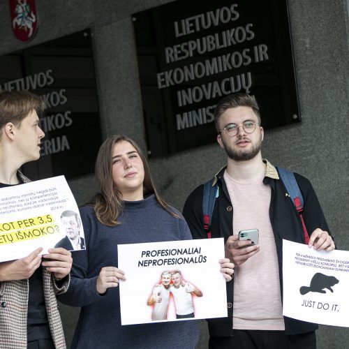 Jaunųjų konservatorių lyga surengė protestą  © P. Peleckio / Fotobanko nuotr.