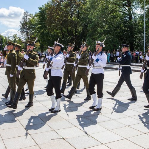 JAV Nepriklausomybės dienos paradas Vilniuje  © I. Gelūno / Fotobanko nuotr.
