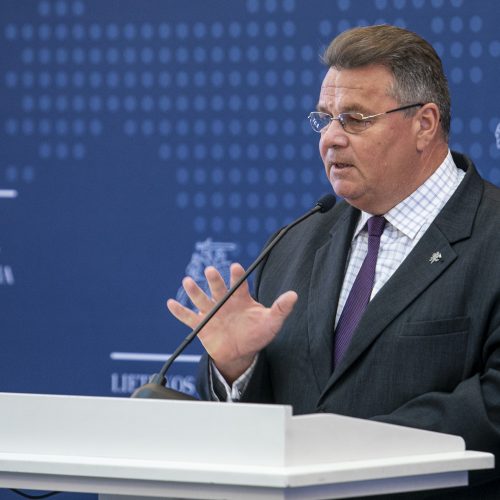 L. Linkevičiaus spaudos konferencija  © P. Peleckio / Fotobanko nuotr.