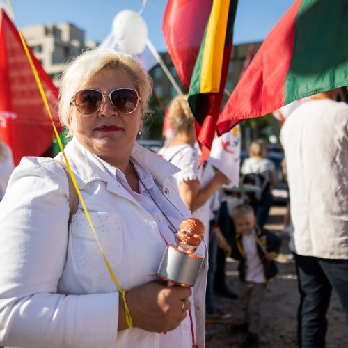 Šeimų maršo protestas prie Seimo  © I. Gelūno / Fotobanko nuotr.