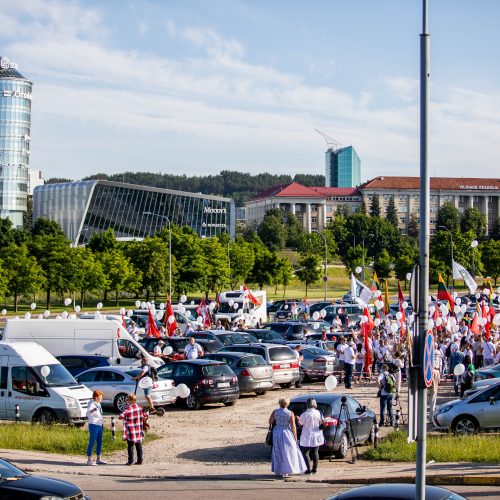 Šeimų maršo protestas prie Seimo  © I. Gelūno / Fotobanko nuotr.