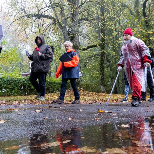 Lietuvė pasiekė Gineso rekordą  © P. Peleckio / BNS nuotr.