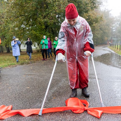 Lietuvė pasiekė Gineso rekordą  © P. Peleckio / BNS nuotr.