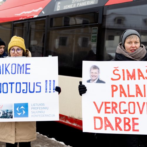 Streikuojančių vairuotojų palaikymo akcija  © L. Balandžio / BNS nuotr.