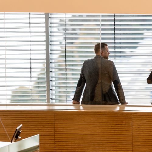 Seimas susirinko į neeilinę sesiją  © P. Paleckio/BNS nuotr.