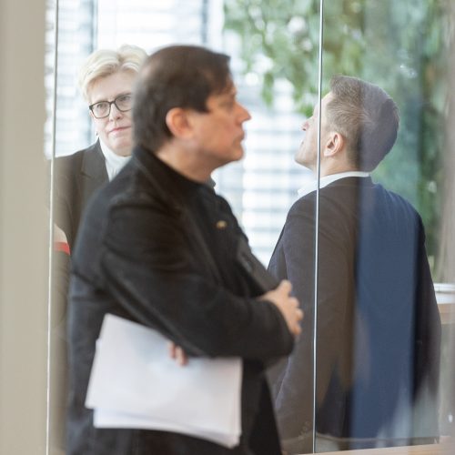 Seimas susirinko į neeilinę sesiją  © P. Paleckio/BNS nuotr.