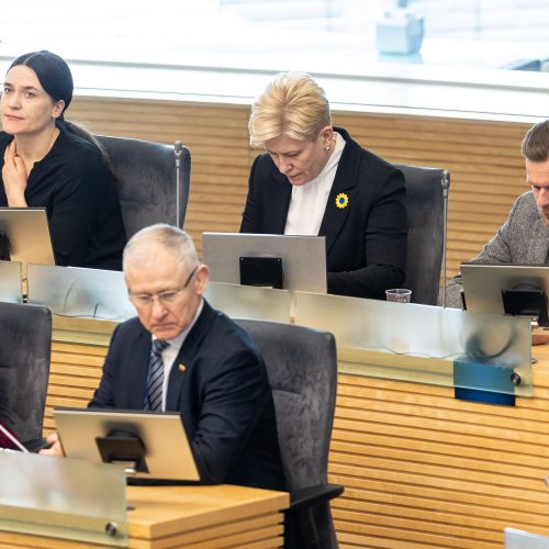 Seimas susirinko į neeilinę sesiją  © P. Paleckio/BNS nuotr.