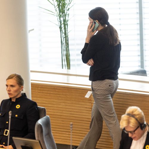 Seimas susirinko į neeilinę sesiją  © P. Paleckio/BNS nuotr.