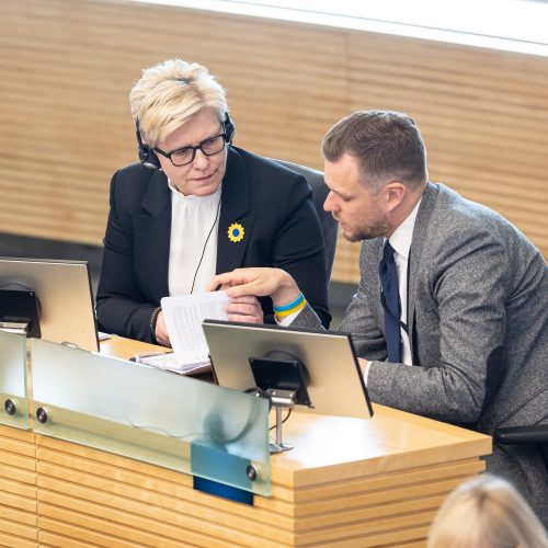 Seimas susirinko į neeilinę sesiją  © P. Paleckio/BNS nuotr.