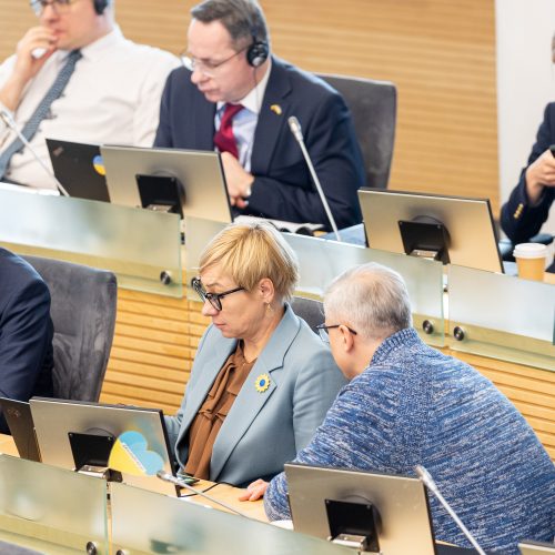 Seimas susirinko į neeilinę sesiją  © P. Paleckio/BNS nuotr.