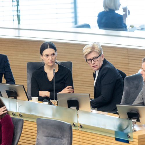 Seimas susirinko į neeilinę sesiją  © P. Paleckio/BNS nuotr.
