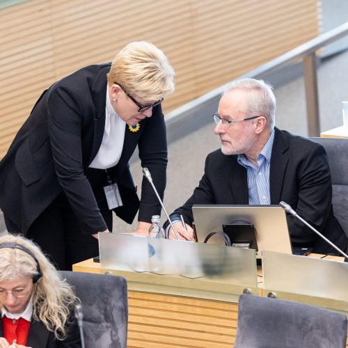 Seimas susirinko į neeilinę sesiją  © P. Paleckio/BNS nuotr.