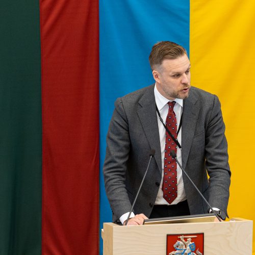 Seimo posėdis dėl pirmalaikių rinkimų  © P. Peleckio / BNS nuotr.