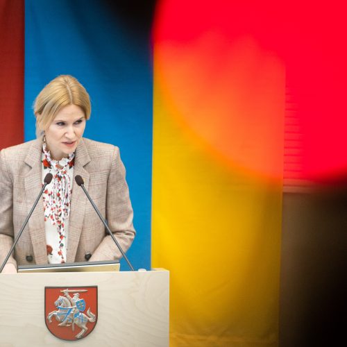 Ukrainos Rados vicepirmininkės kalba Seime  © Ž. Gedvilos / BNS nuotr.