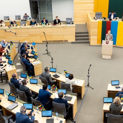 Ukrainos Rados vicepirmininkės kalba Seime  © Ž. Gedvilos / BNS nuotr.