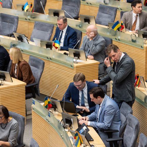 Seime – balsavimas dėl M. Majausko  © P. Peleckio / BNS nuotr.