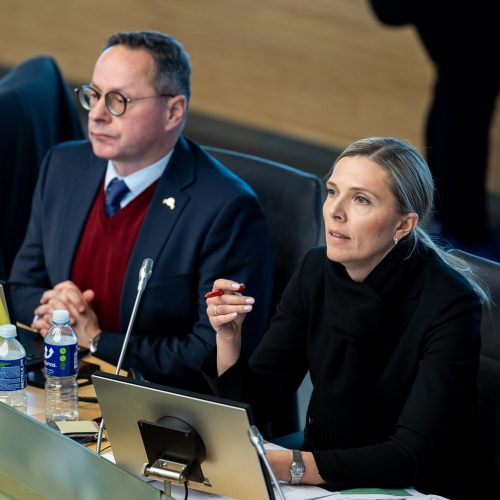 Seimas svarstė klausimą dėl A. Stončaičio atleidimo  © Ž. Gedvilos / BNS nuotr.