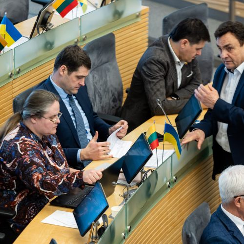 Seimas svarstė klausimą dėl A. Stončaičio atleidimo  © Ž. Gedvilos / BNS nuotr.