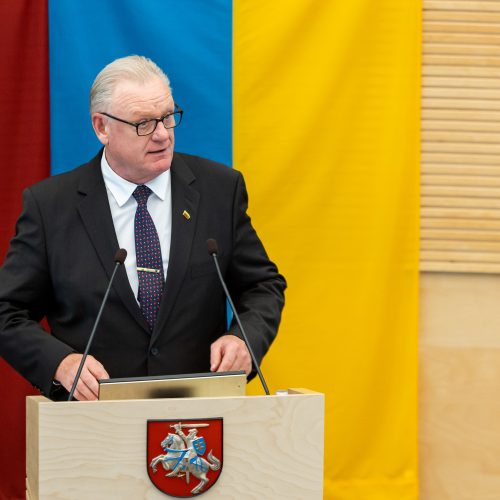 Seimas svarstė klausimą dėl A. Stončaičio atleidimo  © Ž. Gedvilos / BNS nuotr.