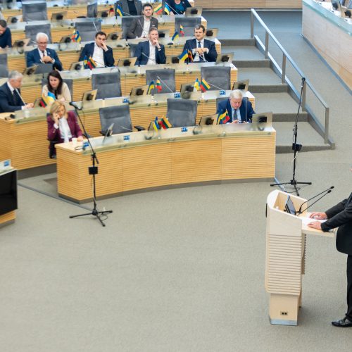 Seimas svarstė klausimą dėl A. Stončaičio atleidimo  © Ž. Gedvilos / BNS nuotr.