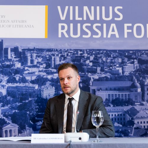 Vilniaus Rusijos forumo spaudos konferencija  © Ž. Gedvilos / BNS nuotr.