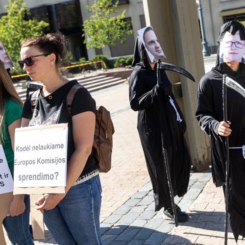 Ūkininkų protestas prie Seimo  © P. Peleckio / BNS nuotr.