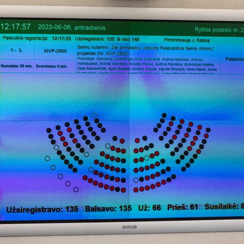 Seimo posėdis dėl pirmalaikių rinkimų  © P. Peleckio / BNS nuotr.