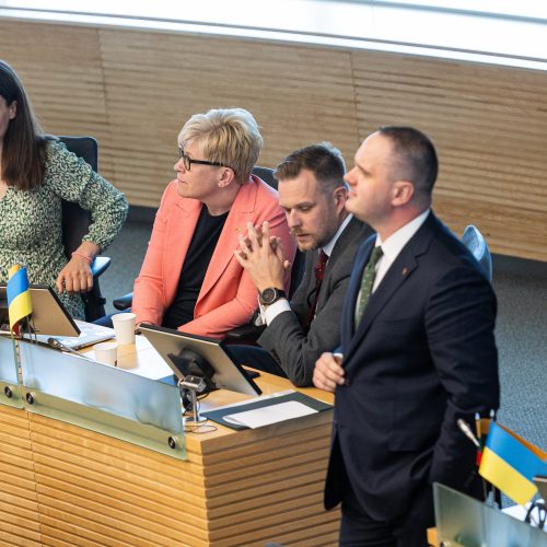 Seimo posėdis dėl pirmalaikių rinkimų  © P. Peleckio / BNS nuotr.