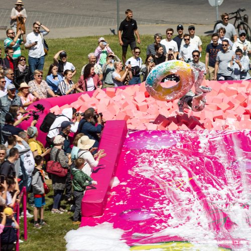 Šaltibarščių festivalis Vilniuje  © Ž. Gedvilos / BNS nuotr.