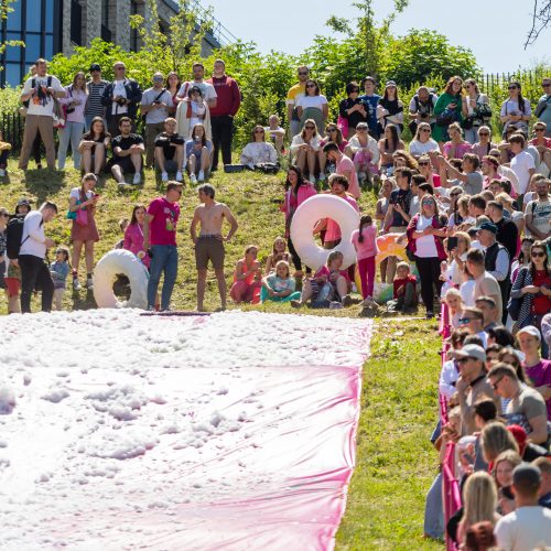 Šaltibarščių festivalis Vilniuje  © Ž. Gedvilos / BNS nuotr.