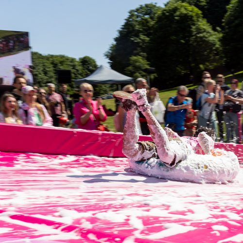 Šaltibarščių festivalis Vilniuje  © Ž. Gedvilos / BNS nuotr.