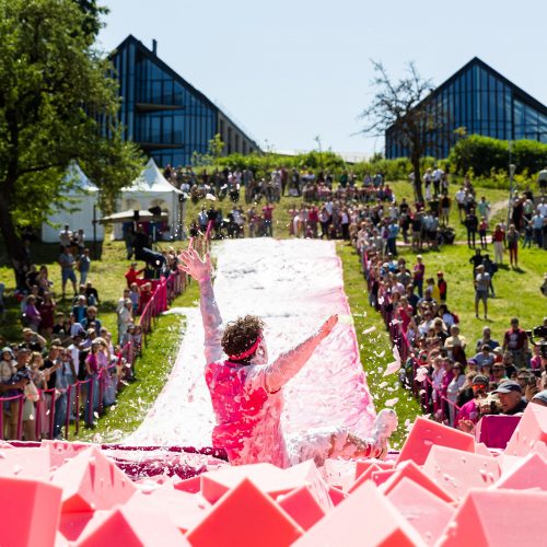 Šaltibarščių festivalis Vilniuje  © Ž. Gedvilos / BNS nuotr.