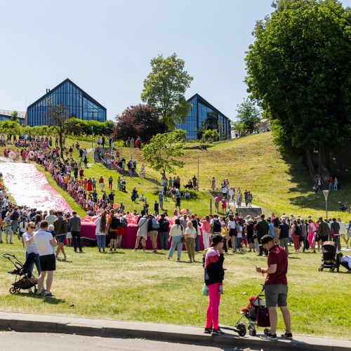 Šaltibarščių festivalis Vilniuje  © Ž. Gedvilos / BNS nuotr.