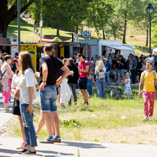 Šaltibarščių festivalis Vilniuje  © Ž. Gedvilos / BNS nuotr.