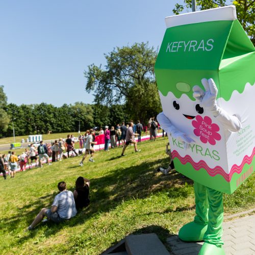 Šaltibarščių festivalis Vilniuje  © Ž. Gedvilos / BNS nuotr.