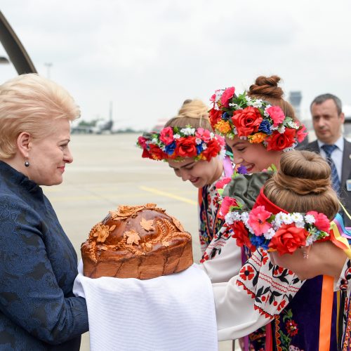 D. Grybauskaitės vizitas Ukrainoje  © R. Dačkaus/ Prezidentūros nuotr.