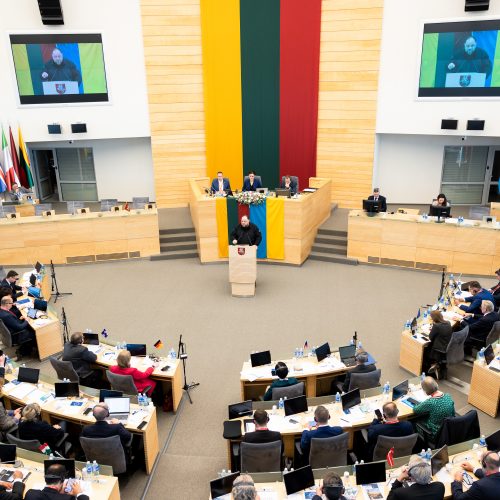 NATO valstybių narių parlamentų pirmininkų aukšto lygio susitikimas Vilniuje