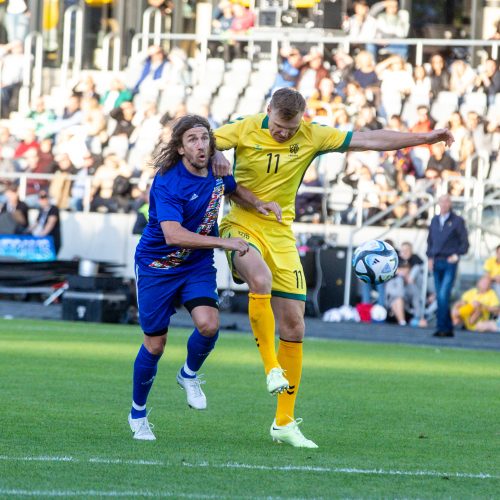  Pasaulio futbolo legendų rungtynės su legendiniais Lietuvos futbolininkais  © T. Biliūno/BNS nuotr.