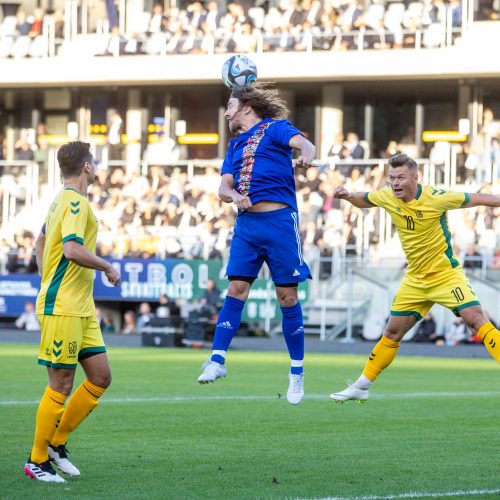  Pasaulio futbolo legendų rungtynės su legendiniais Lietuvos futbolininkais  © T. Biliūno/BNS nuotr.