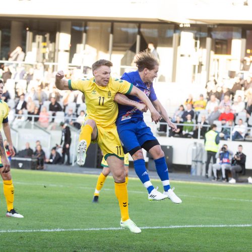  Pasaulio futbolo legendų rungtynės su legendiniais Lietuvos futbolininkais  © T. Biliūno/BNS nuotr.