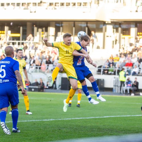  Pasaulio futbolo legendų rungtynės su legendiniais Lietuvos futbolininkais  © T. Biliūno/BNS nuotr.